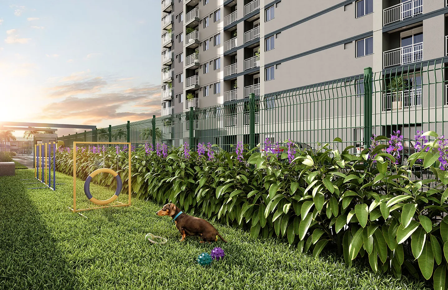 Perspectiva oficial do pet place do Cartola II