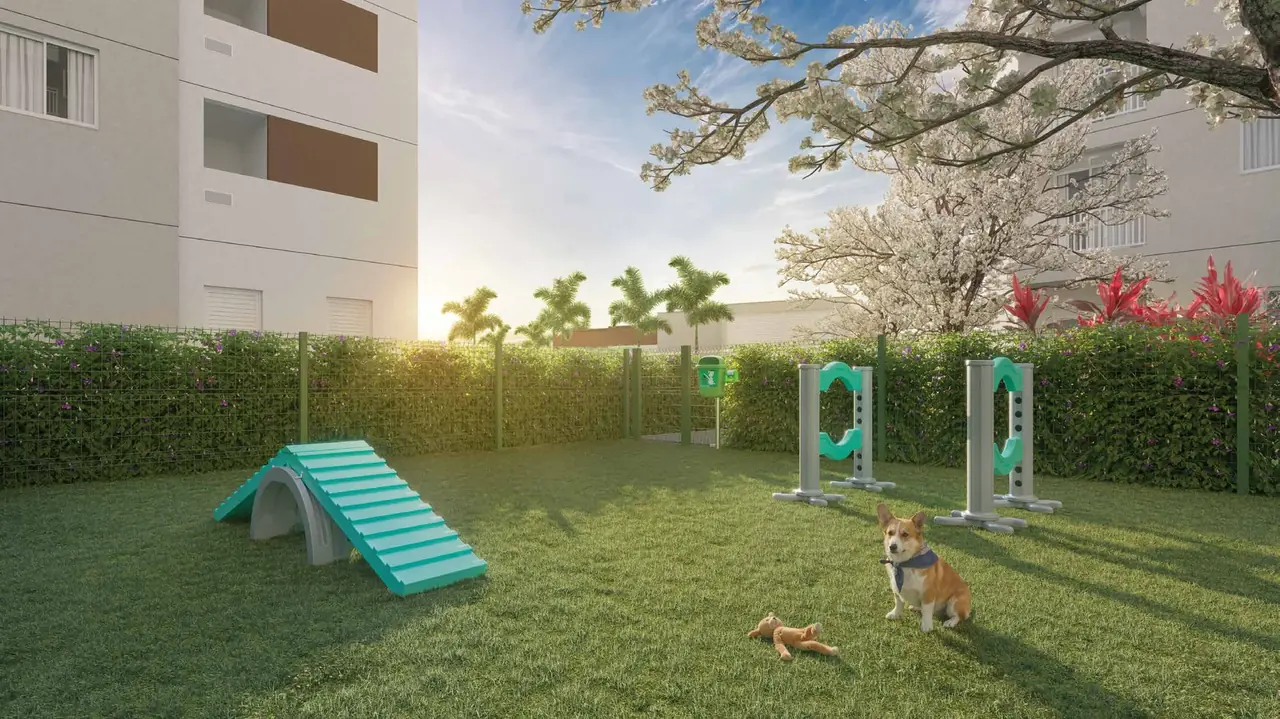 Pet place do Nova Leopoldina